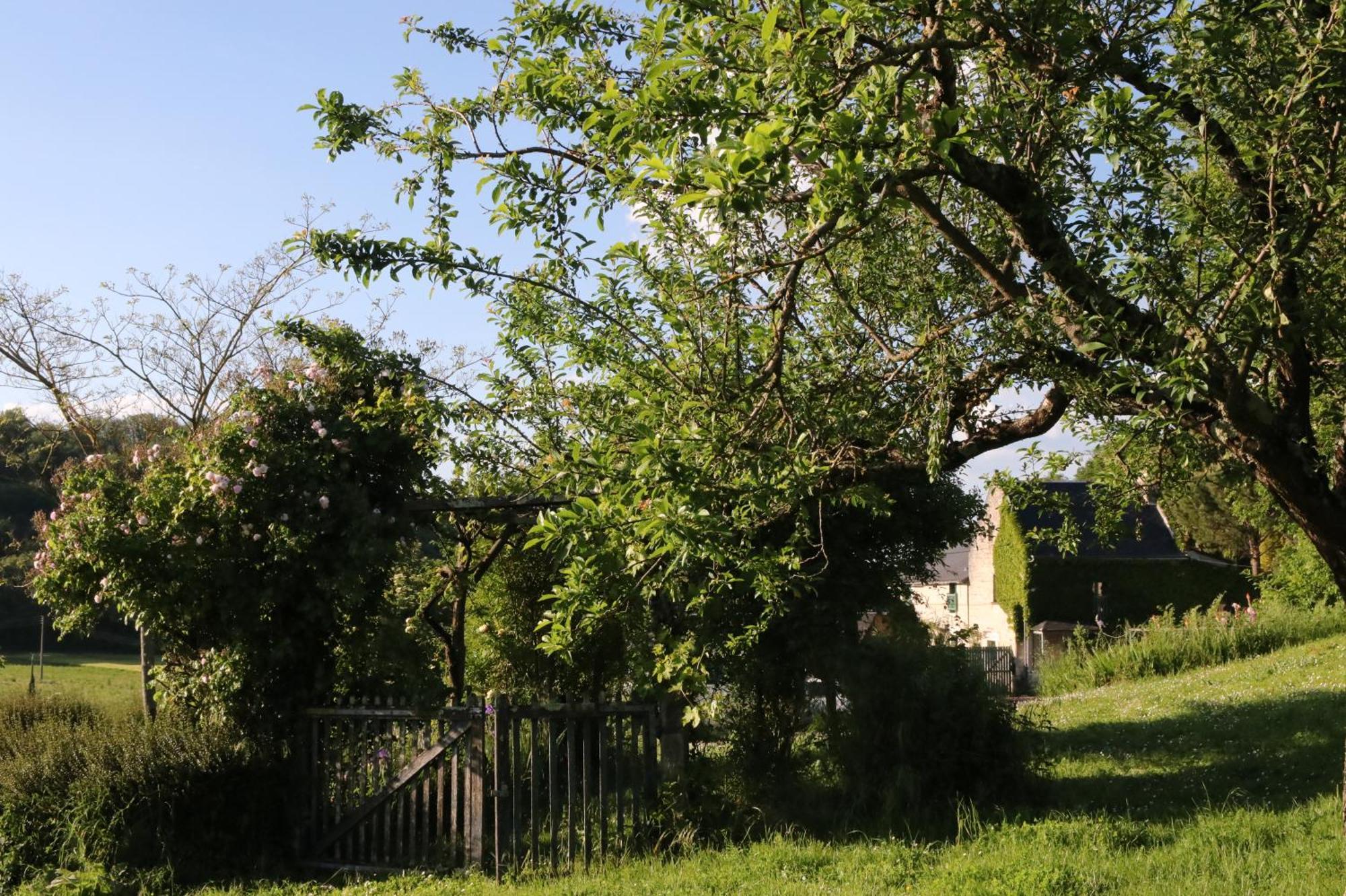 Chambres D'Hotes Du Noisillet Cinais Buitenkant foto