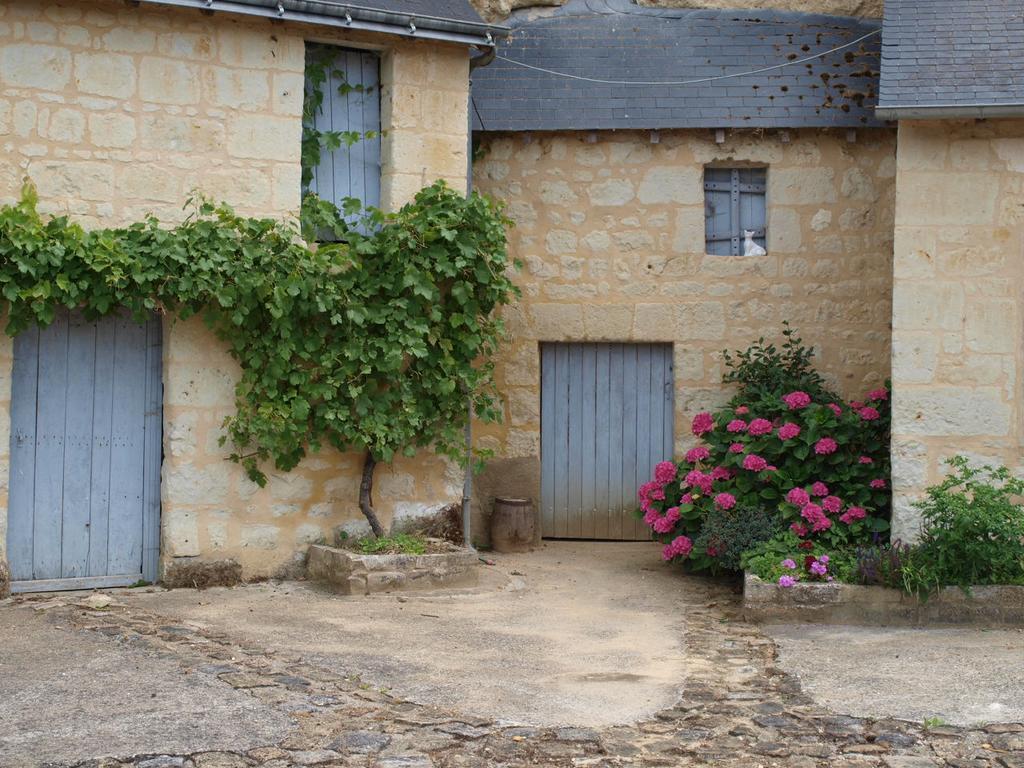 Chambres D'Hotes Du Noisillet Cinais Buitenkant foto