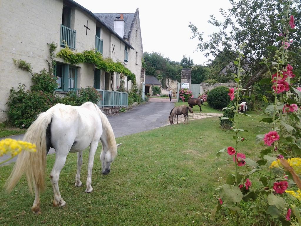 Chambres D'Hotes Du Noisillet Cinais Buitenkant foto